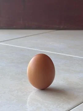 Single Brown Egg Balancing Upright On Tiled Surface For Lichun Foto stock