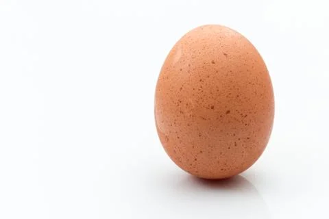 Single Brown egg isolated on a white background. Stock Photos