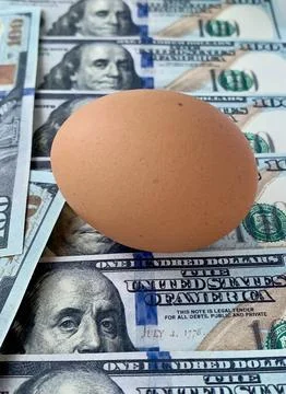 A single brown egg is placed on top of a stack of fresh hundred dollar bills, Stock Photos