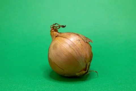 A single brown onion, a versatile kitchen ingredient, rests on a vibrant gree Stock Photos