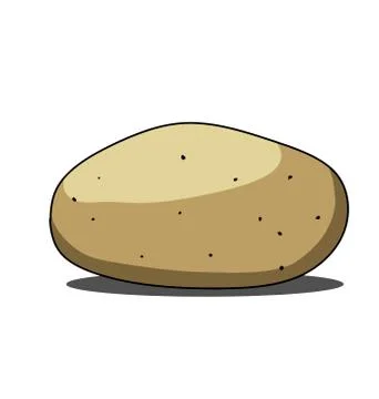 Single brown potato isolated on white background Stock Illustration