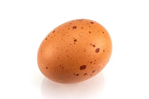 Single brown spotted egg isolated on white background Stock Photos