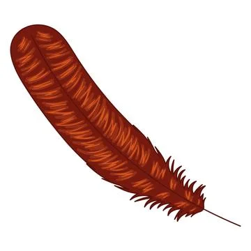 Single brown turkey feather, realistic design, Vector Stock Illustration