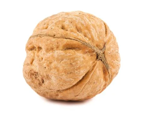 Single brown walnut Stock Photos