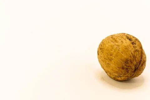 A single, brown walnut with a textured shell is isolated on a clean white bac Stock Photos