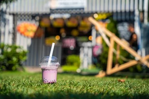 Single Bubble Tea Cup on Green Grass Stock Photos