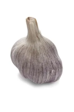 Single bulb of garlic Stock Photos