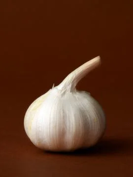Single bulb of garlic Stock Photos
