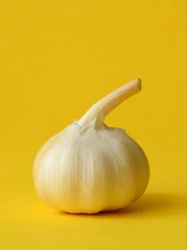 Single bulb of garlic Stock Photos