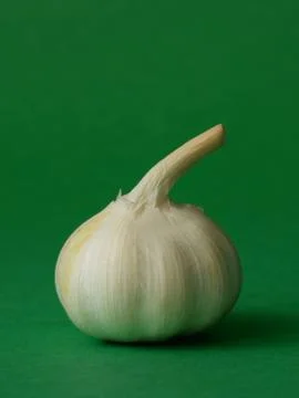 Single bulb of garlic Stock Photos