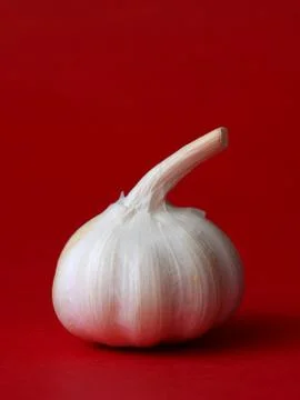 Single bulb of garlic Stock Photos