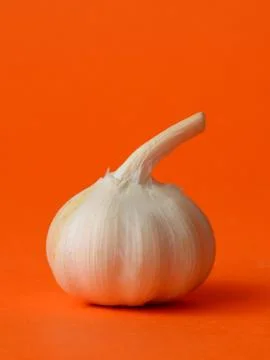 Single bulb of garlic Stock Photos