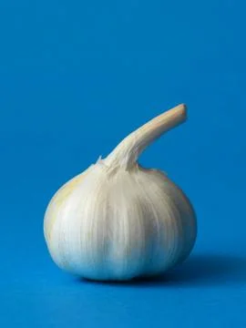 Single bulb of garlic Foto stock