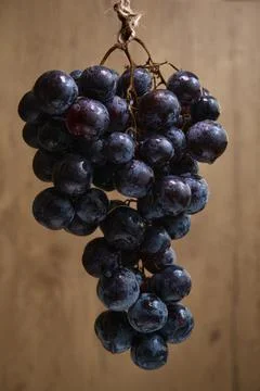 Single bunch of grapes fruit 스톡 사진