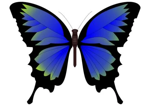 Single butterfly in blue-green design Stock Illustration
