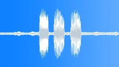 Single call of treefrog Smilisca phaeotaSound Effect