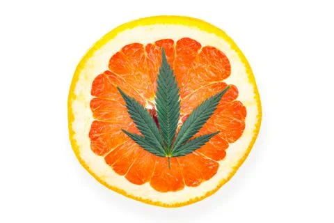 Single Cannabis leaf on Red grapefruit citrus terpenes concept Stock Photos