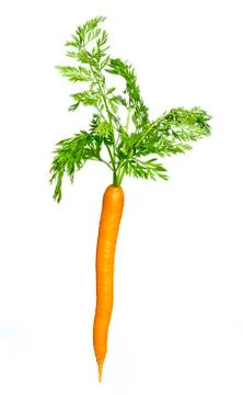 Single carrot isolated on white background Stock Photos