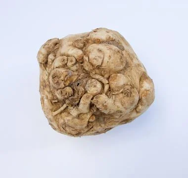 Single celeriac vegetable against plain white background with copy space Stock Photos