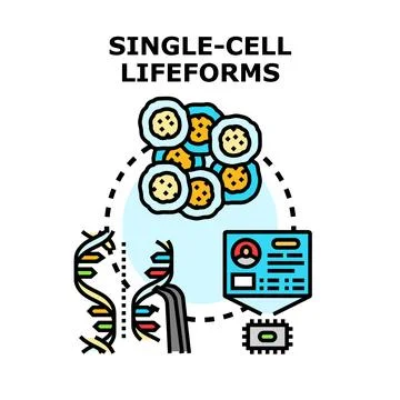 Single cell lifeforms dna sequencing and biometric analysis 스톡 일러스트