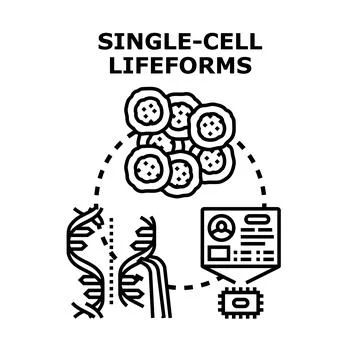 Single cell lifeforms dna sequencing and biometric analysis Stock-Illustration