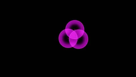 Single Cell Rounds Up And Divides Into Two Daughter Cells Stock Footage 344512813