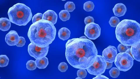 Single-celled organisms Stock Illustration