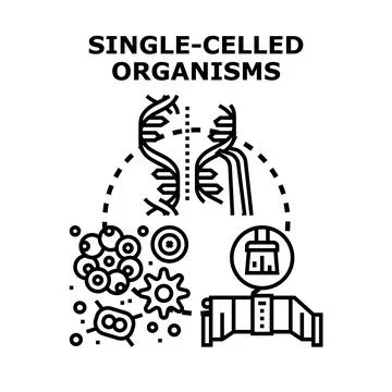 Single celled organisms studying microorganisms and dna Stock Illustration
