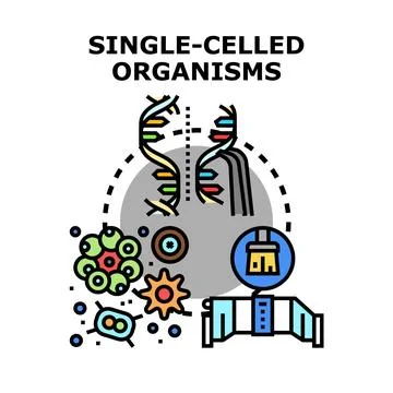 Single celled organisms studying microorganisms and dna Stock Illustration