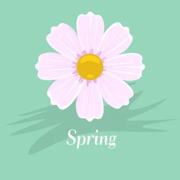 Single Cherry blossom. Flat and solid color Vector illustration. Stock Illustration