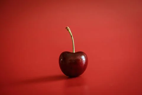 Single cherry on red background Stock Photos