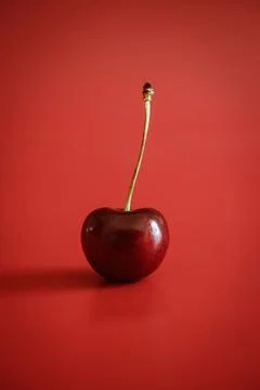 Single cherry on red background Stock Photos