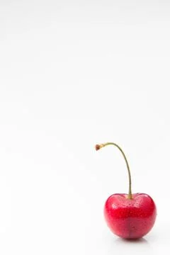 Single cherry with stem isolated on white background Stock Photos