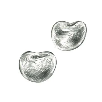 Single cherry without stem in realistic monochrome style, hand drawn line art Stock Illustration