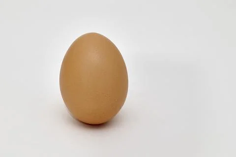 Single chicken egg on white Foto stock
