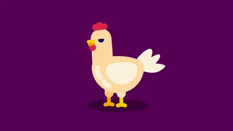Single Chicken Standing Stock Footage 335642073