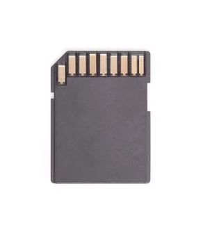 Single chip. 스톡 사진