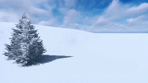 Single Christmas tree covered with snow on a sunny day Stock Footage 69921829