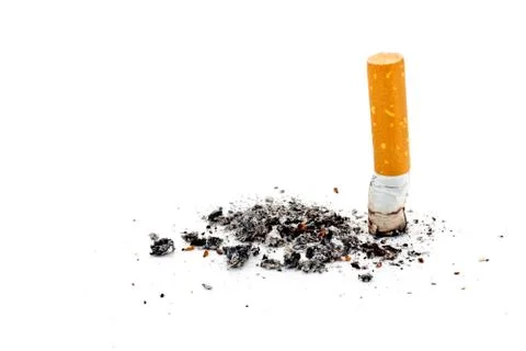 Single cigarette butt with ash isolated on white background Stock Photos