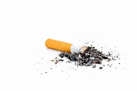 Single cigarette butt with ash isolated on white background Foto stock
