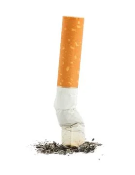 Single cigarette butt with ash Stock Photos