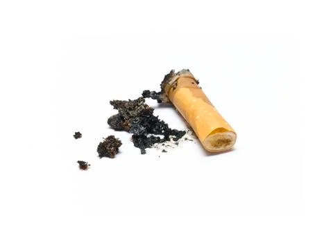 A single cigarette butt on the white background. Stock Photos