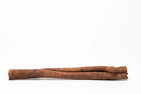 Single cinnamon stick on white background. Front view. Stock Photos