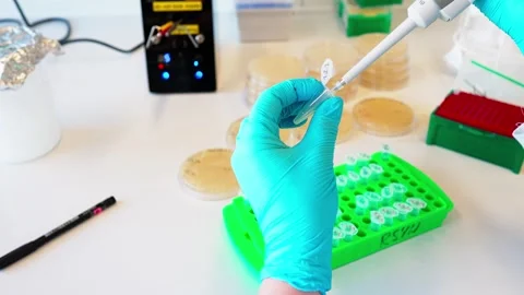 Single clones transfer to the vials Stock Footage 263213675