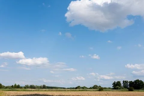 Single clouds in rural landscape in middle of lonely field summer season Foto stock
