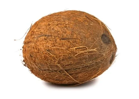 Single coconut Stock Photos