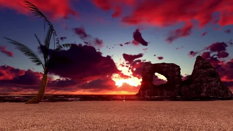 Single coconut tree on the beach at sunset Stock Footage 70134365