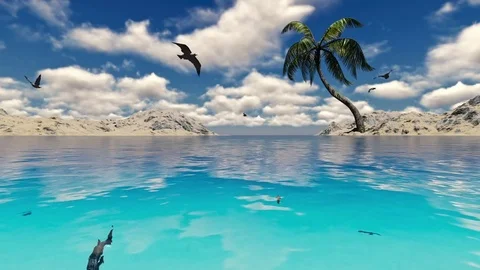 Single coconut tree on a beautiful day,with tropical turquoise sea Stock Footage 72642077