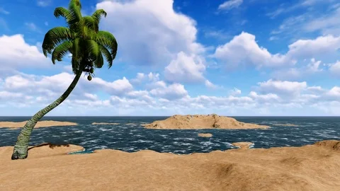 Single Coconut Tree on a Island Video stock 84945801