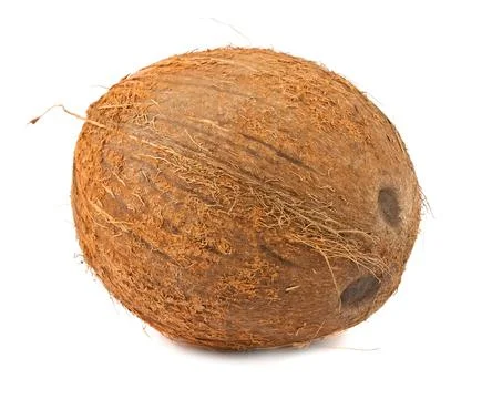 Single coconut on white background Stock Photos